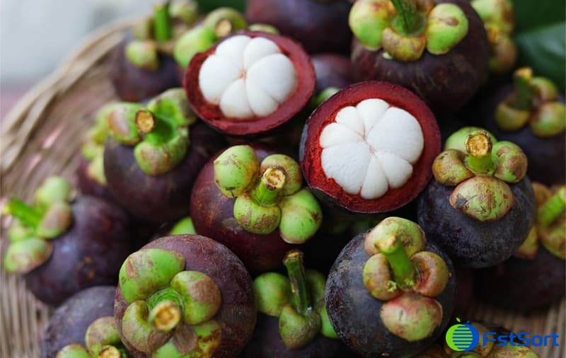 images/1670226795927mangosteen sorter.jpg